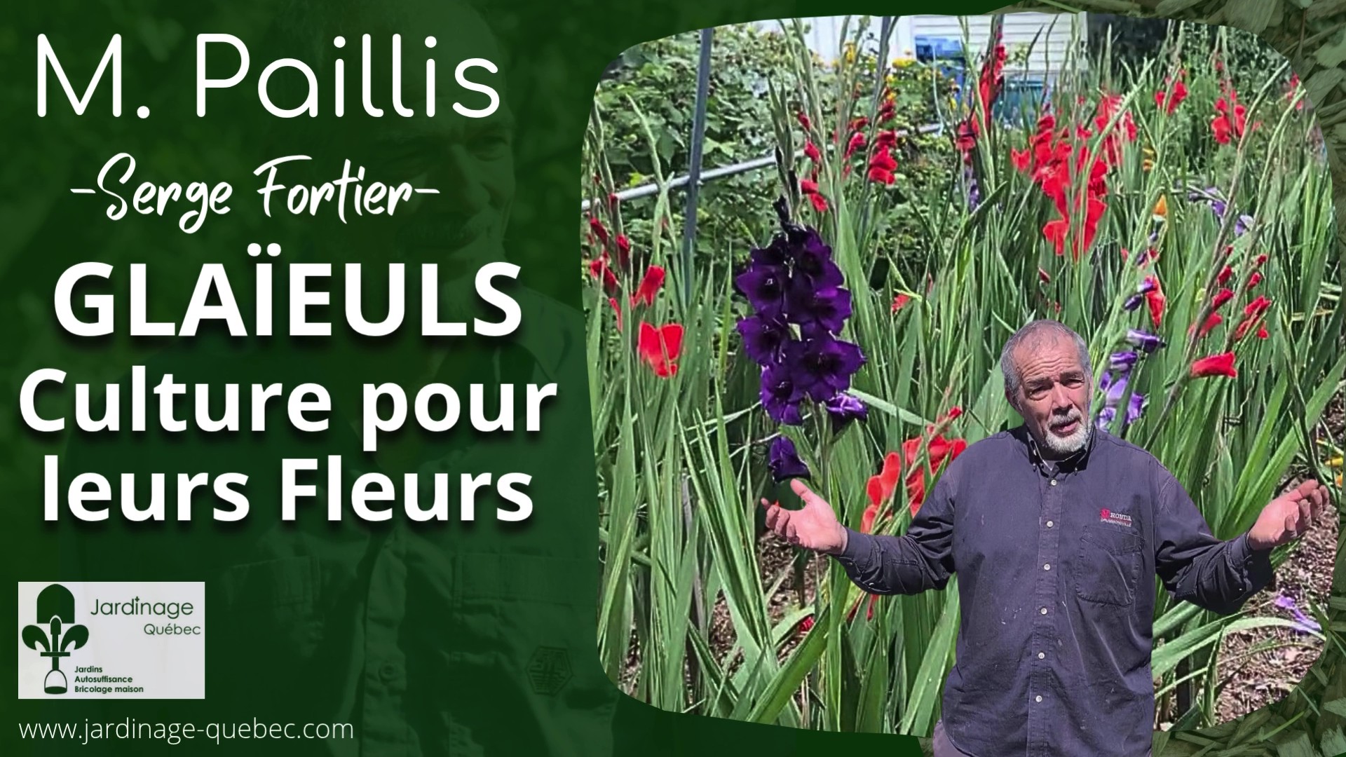 CULTIVER DES GLAÏEULS : PLANTATION, BOUQUETS ET CONSERVATION DES BULBES