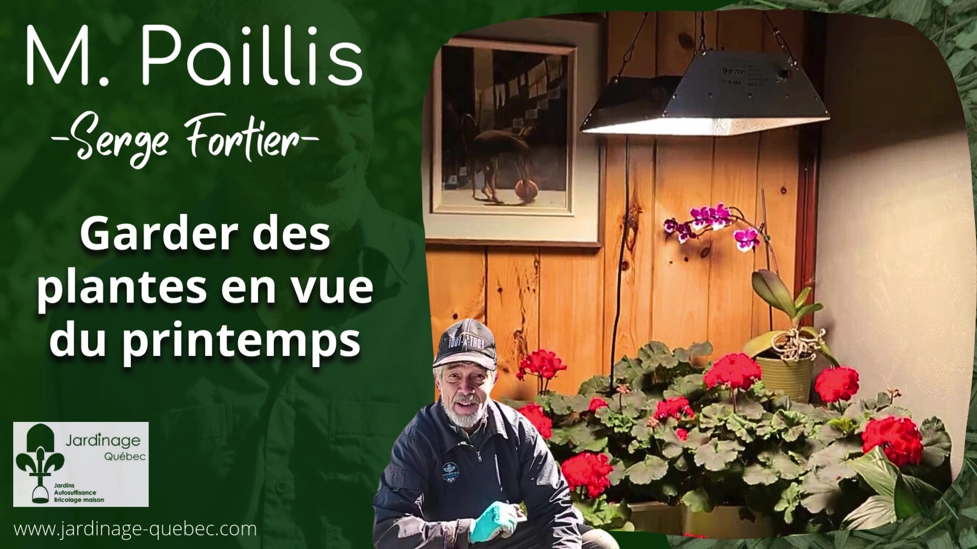 Cultiver des plantes en hiver à l'intérieur