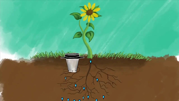 De l'eau là où la plante en a réellement besoin