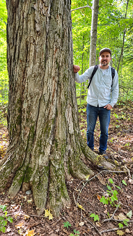 Gabriel Grenier auteur du livre : Les forêts anciennes du Québec