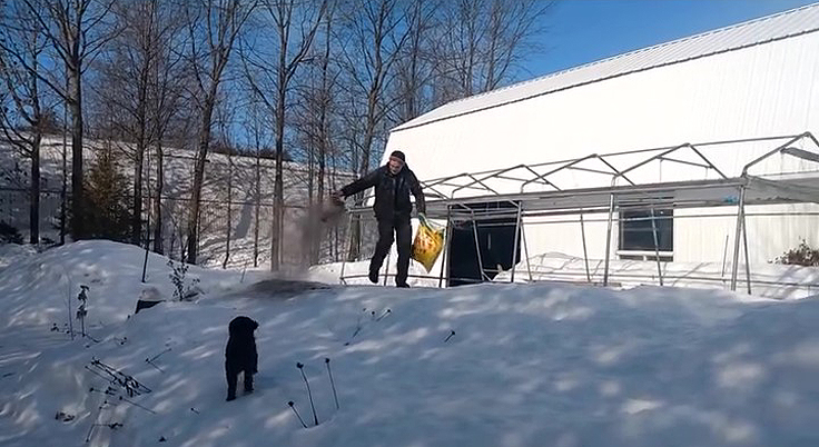 Épandre de la cendre de foyer sur la neige