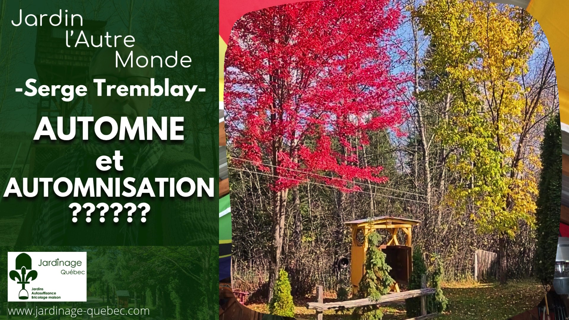 JARDIN EN AUTOMNE : ENTRETIEN DES ARBRES ET PRÉPARATION POUR L’HIVER