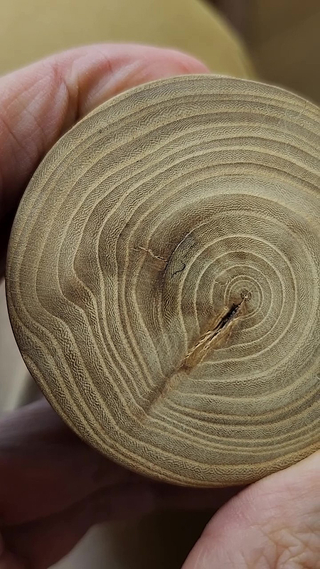 Bois de l'orme d'Amérique : Motifs aux vagues de la mer