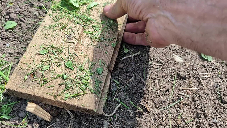 Truc pour éviter les mauvaises herbes