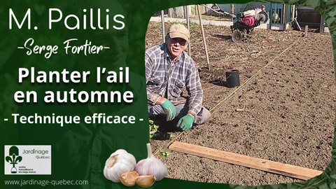 Planter l'ail en automne avec un outil de plantation