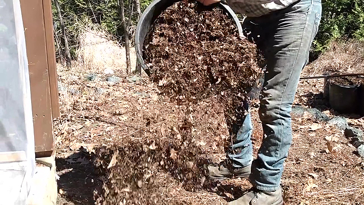 Paillis de feuilles déchiquetées