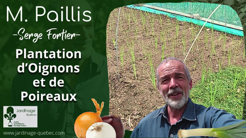 Planter des oignons et des poireaux
