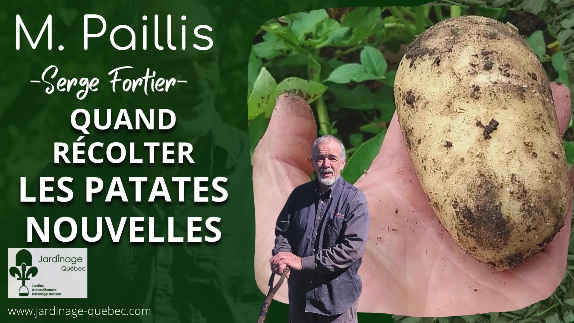 PATATES NOUVELLES SANS EFFORT LA MÉTHODE DE M PAILLIS QUI CHANGE TOUT