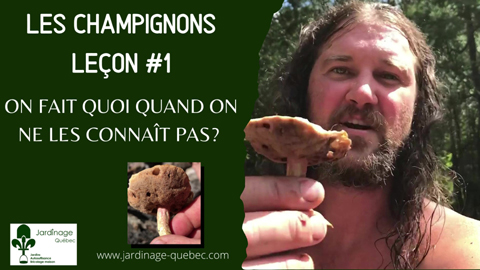 Identifier un champignon