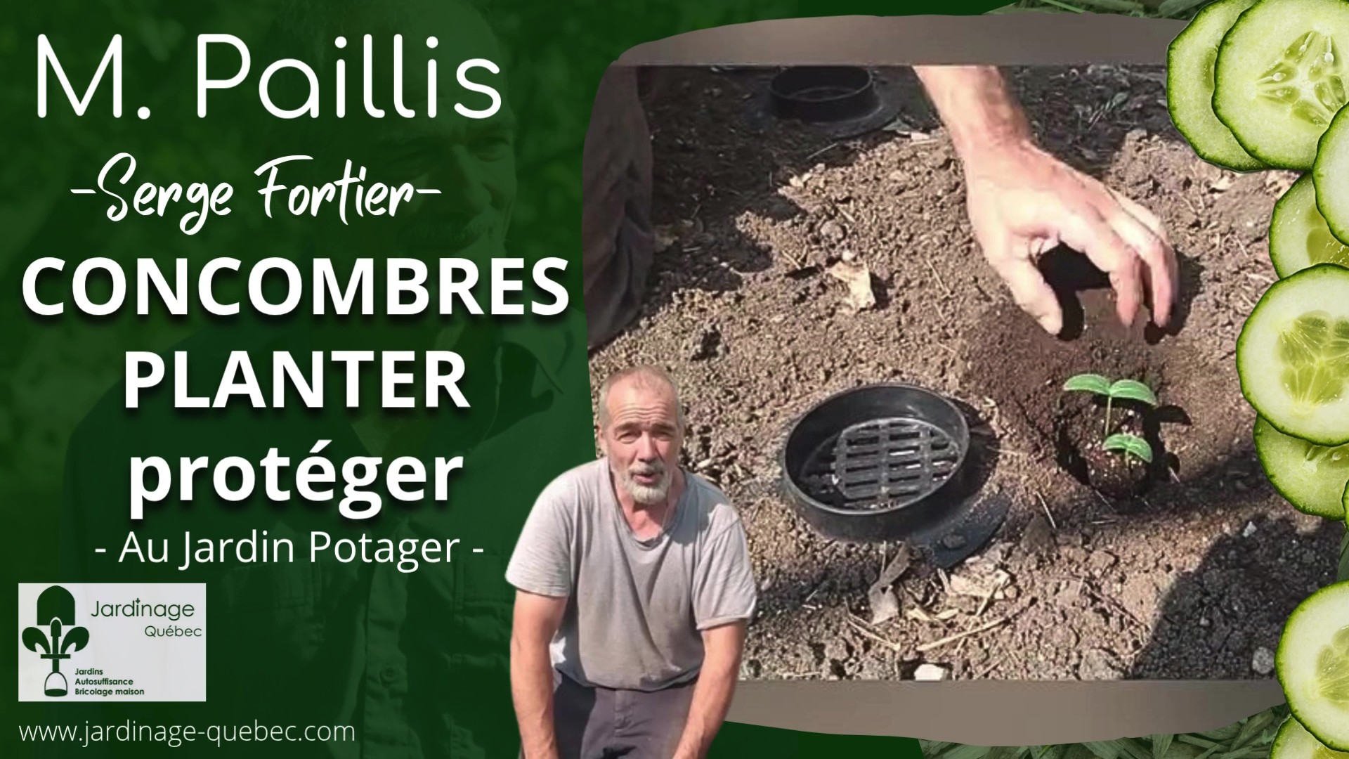 Planter et Protéger des Concombres au Jardin