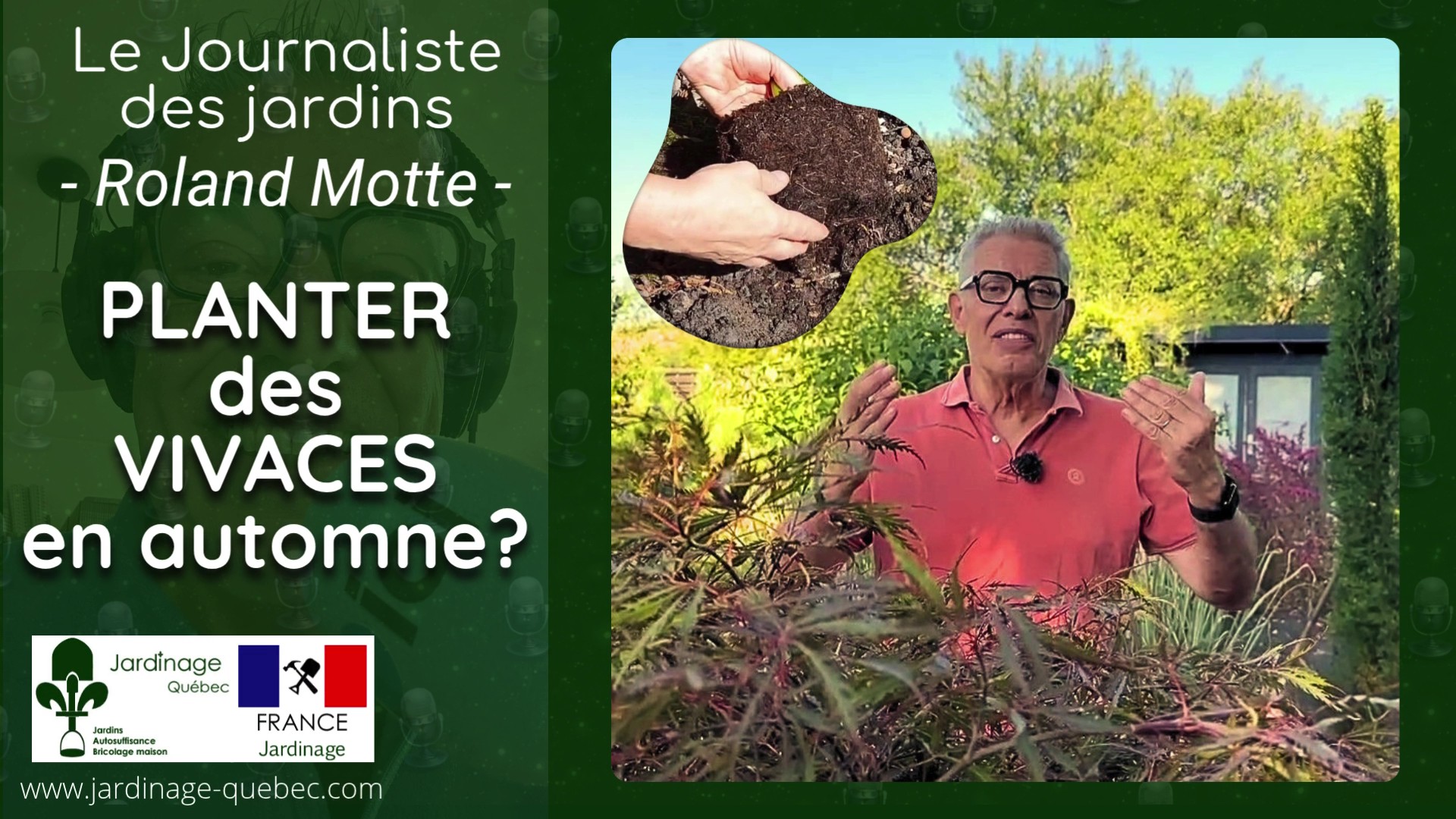 PLANTER DES VIVACES EN AUTOMNE : 4 PLANTES POUR OMBRE ET SOLEIL