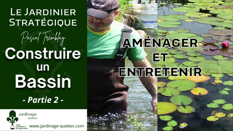 Entretien d'un Bassin de jardin - Aménager et Entretenir un jardin d'eau