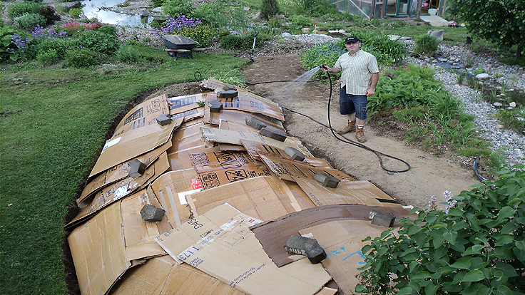 Cartons pour étouffer les herbes en aménagement de plate-bande
