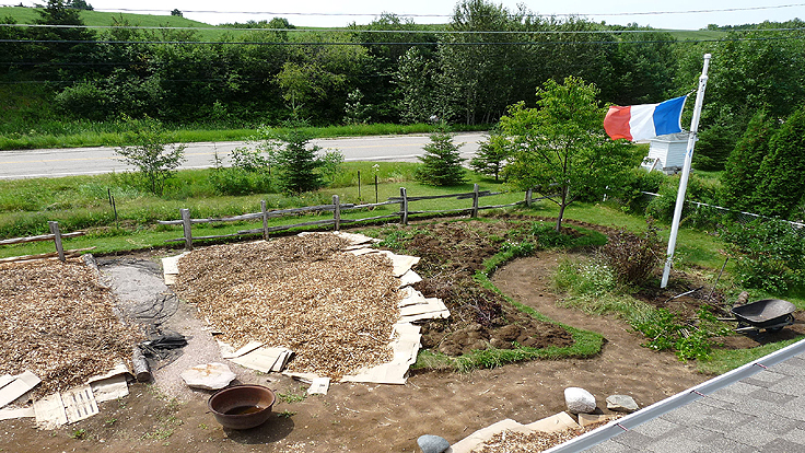 Ajout de bois raméal fragmenté sur les cartons pour créer une sol vivant