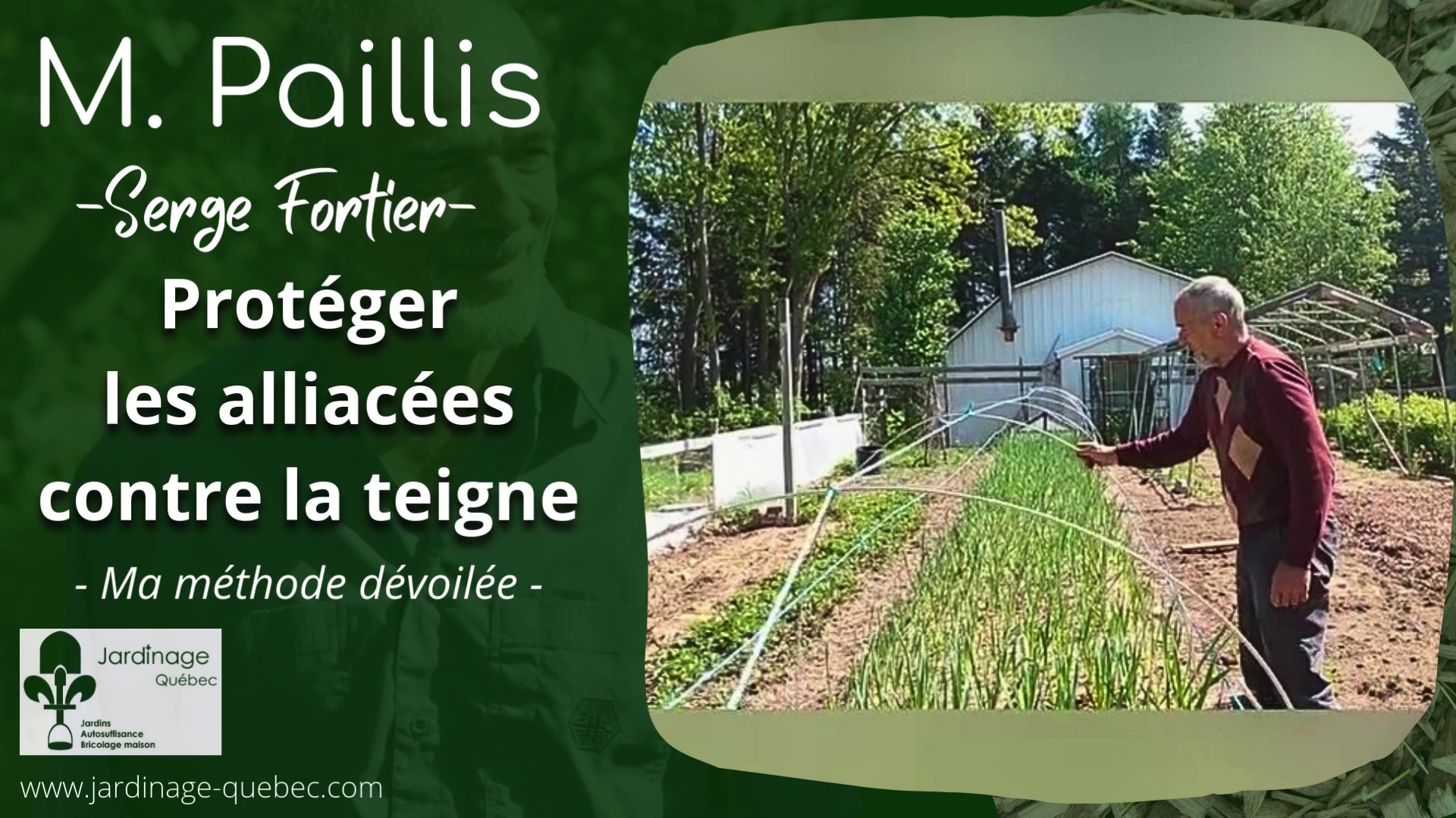 Protéger l'ail contre la teigne