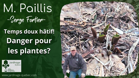 Printemps hâtif - Un danger pour les plantes?