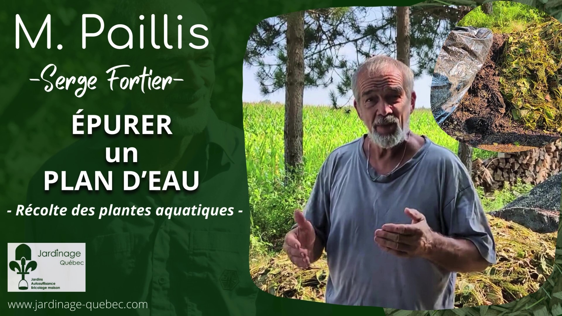 Épurer un plan d'eau par la récolte des plantes aquatiques - Lutte à l'eutrophisation