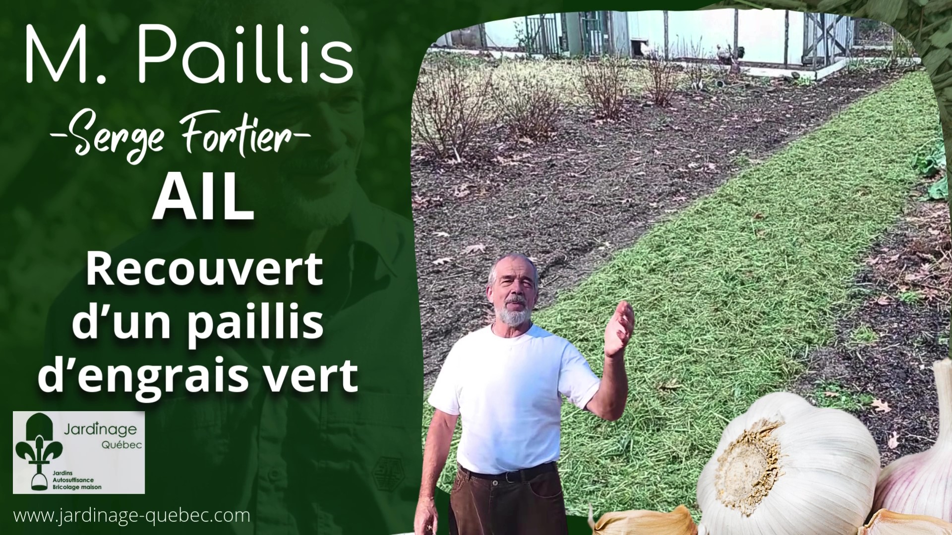 Planter ail
