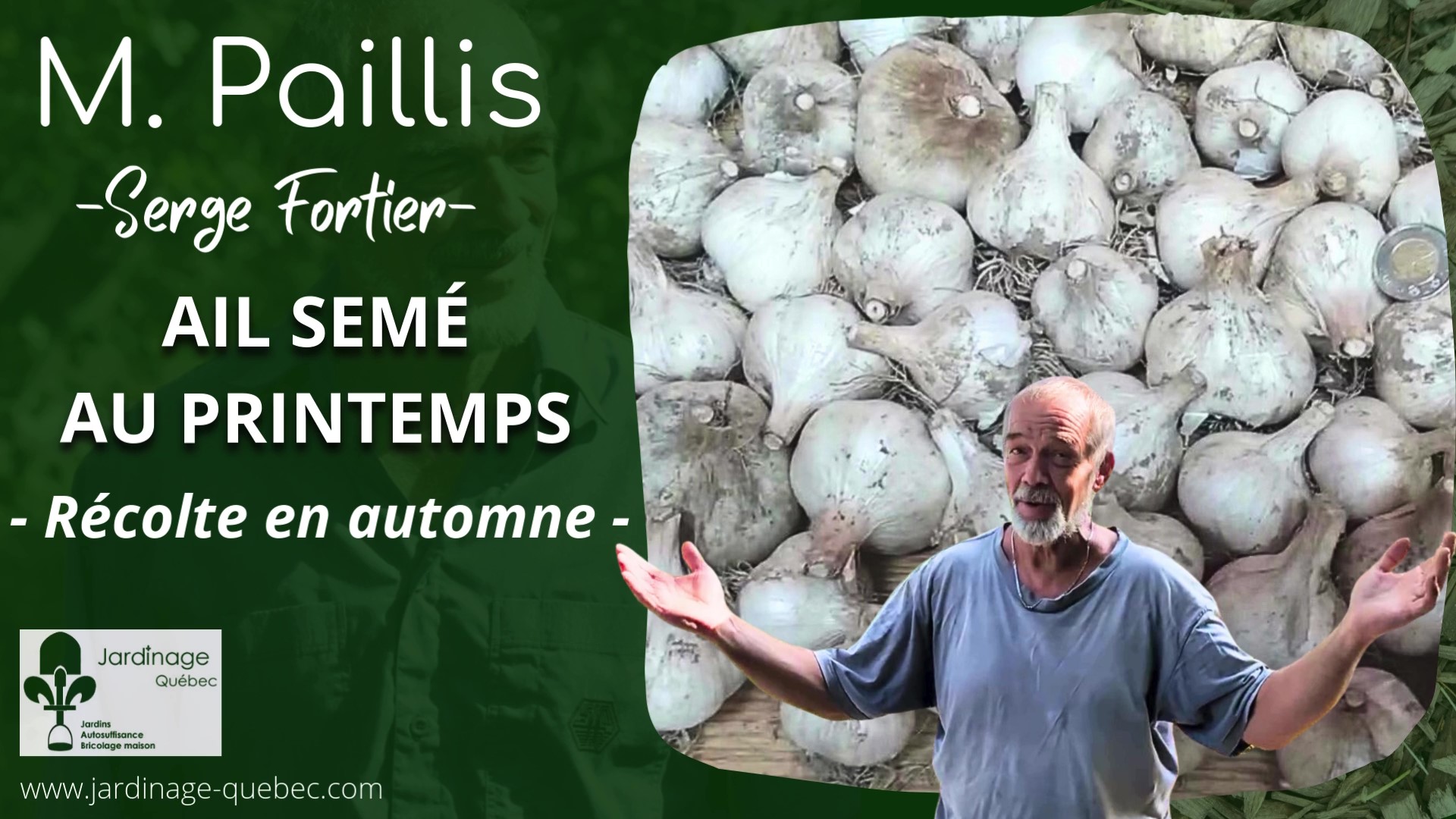 Ail semé au printemps