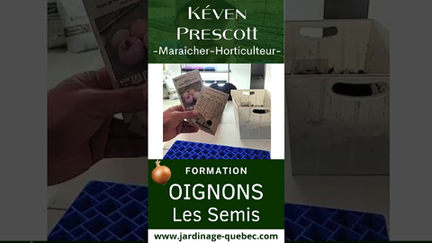 Semis d’oignons à l’intérieur : méthode simple pour réussir vos plants