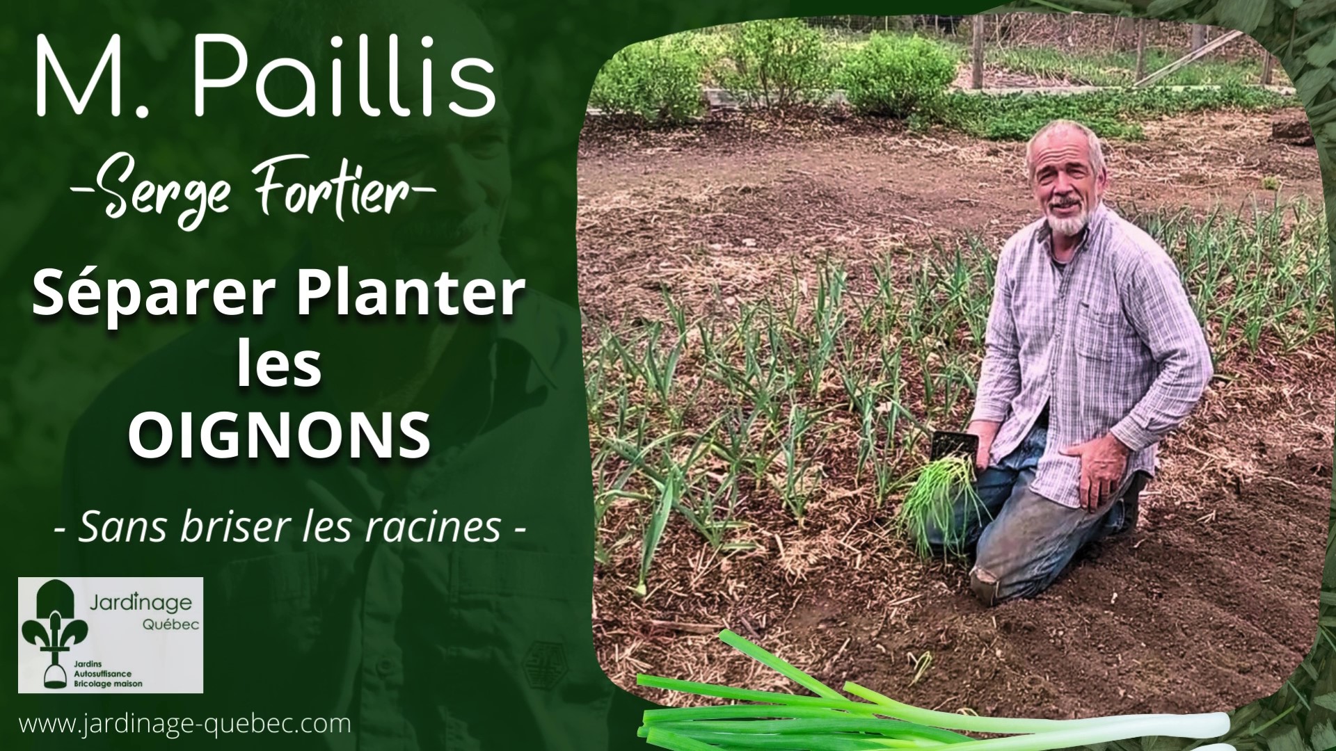 Planter des oignons
