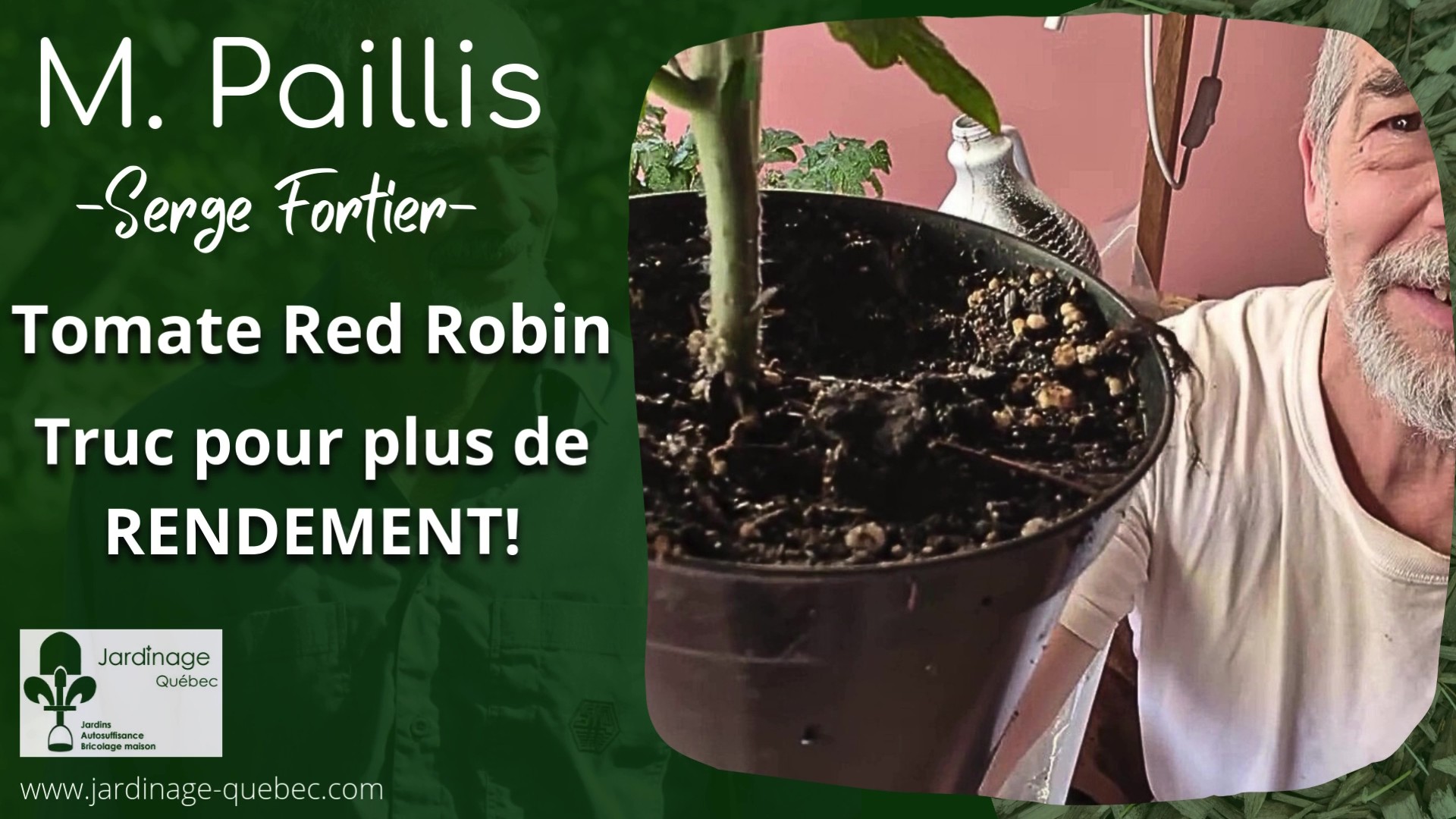 Tomate Red Robin