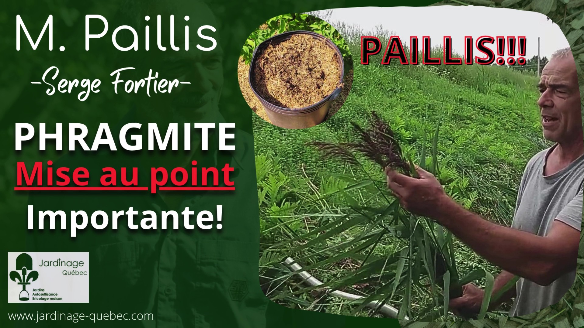 COMPRENDRE ET VALORISER LE PHRAGMITE AVEC LA LOGIQUE ENVIRONNEMENTALE DE SERGE FORTIER