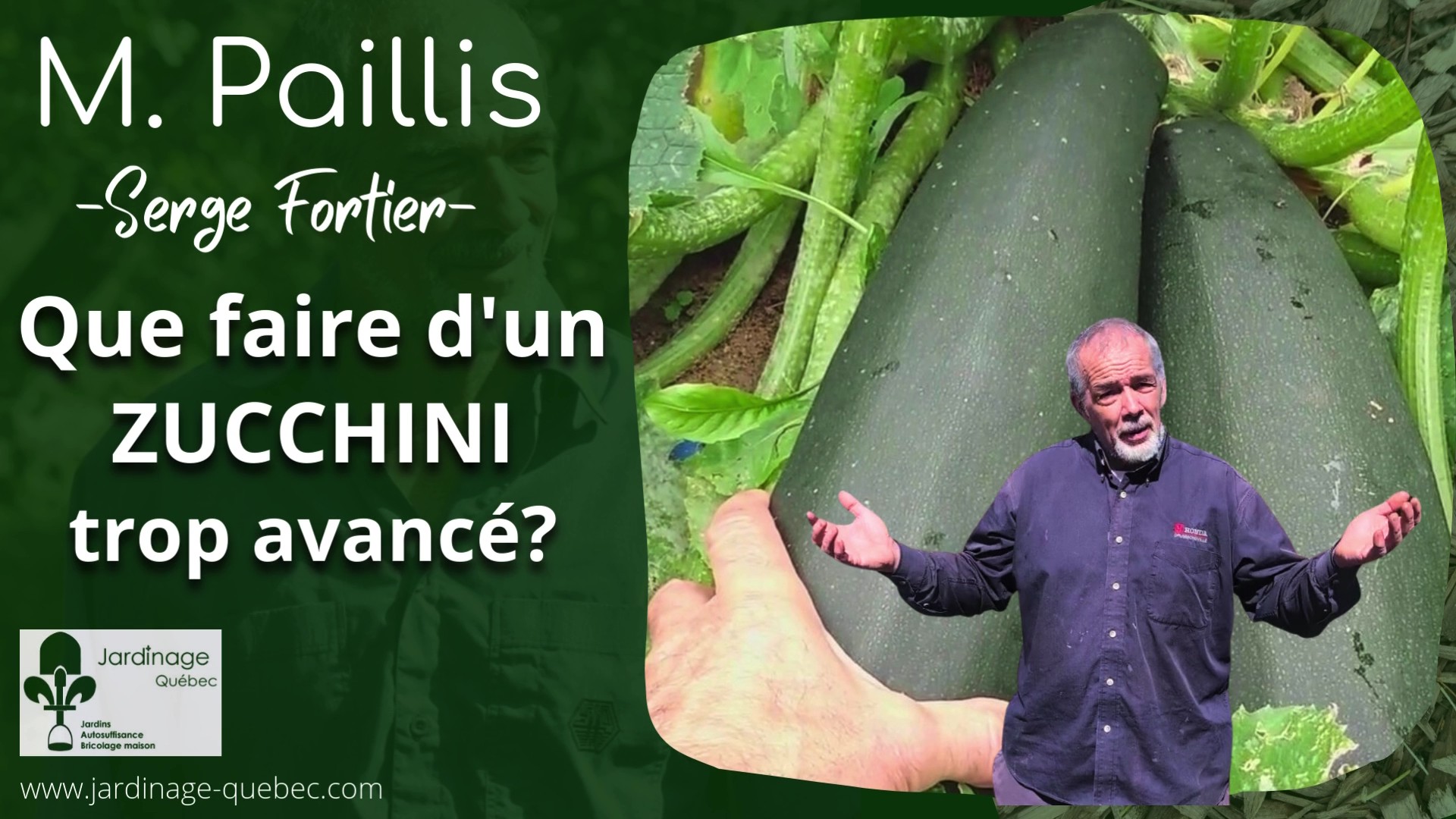 Zucchini